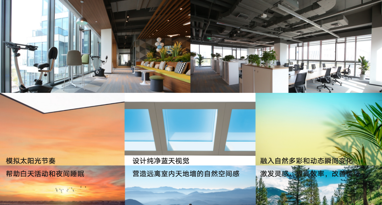 适老设计+AI+光｜康养场景落地案例分享